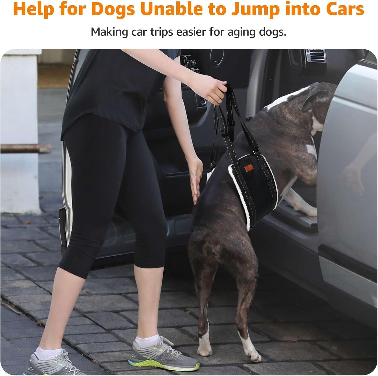 loobani-adjustable-dog-sling-for-large-dogs-hind-leg-support-acl-recovery-walking-stair-assistance-senior-dog-mobility-padded-comfort-adjustable-fit-lightweight-nylon-soft-plush-lining