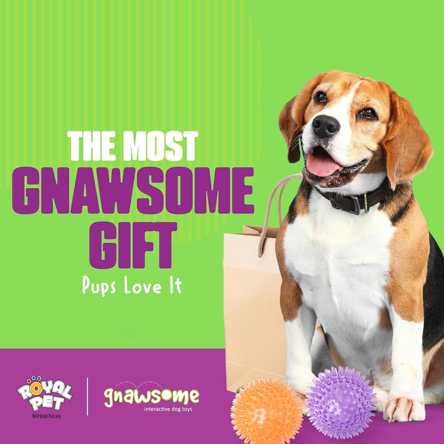 gnawsome-medium-squeaker-ball-dog-toy-medium-3-5-colors-will-vary-all-breed-sizes