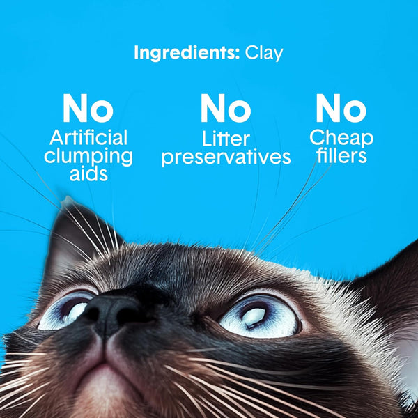 Boxie Premium Unscented Clumping Cat Litter 30+ Day Odor Control 16 Lb4