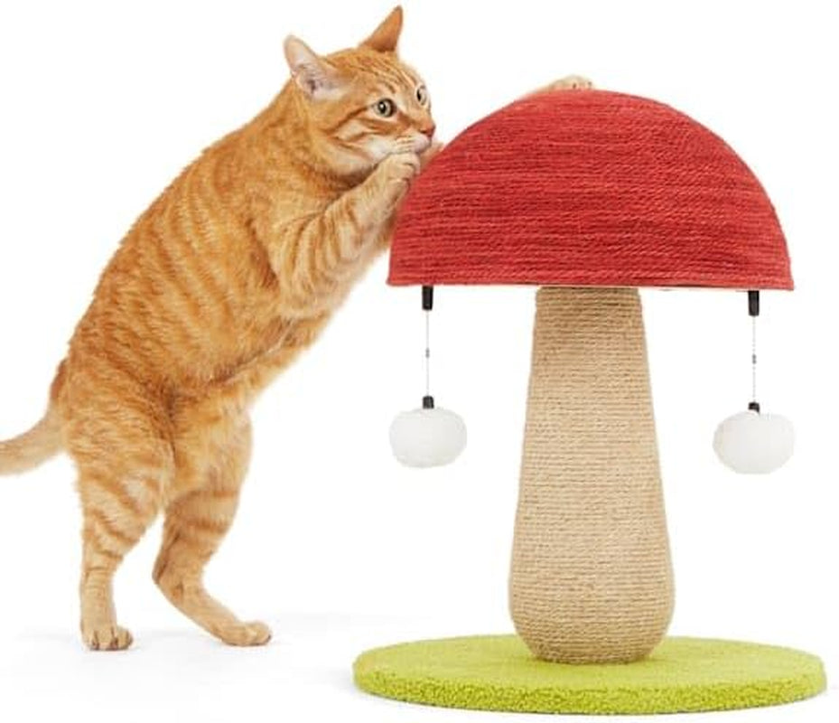 everyyay-by-petco-toadstool-scratch-post-for-cats
