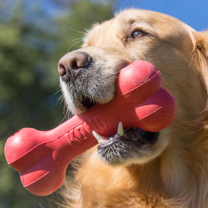 KONG Goodie Bone - Classic Durable Natural Rubber Dog Bone, Supports Mental Engagement - Treat Dispensing - Red - for Medium Dogs2