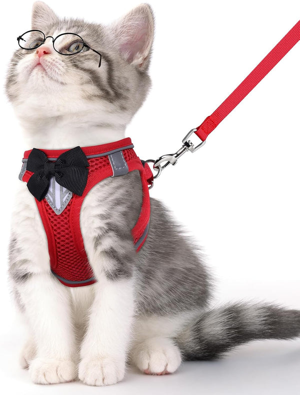 Cat Vest Harness and Leash Set, Escape Proof Kitten Harness Pink XS | Safe Reflective Strips, Adjustable Easy Wear Kitty Harness, Sturdy Clip Buckle, Breathable Mesh , for Kitty Puppy Bunny Walks13