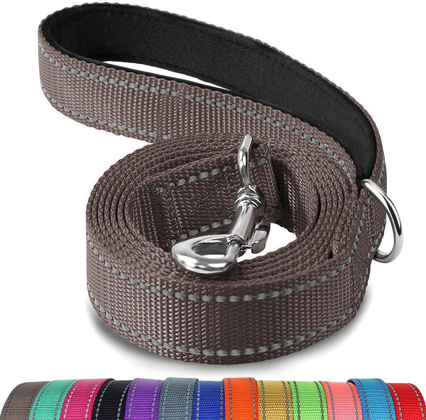Joytale Reflective Dog Leash for Medium & Large Dogs, 6 FT X 1", Black | Heavy Duty Nylon Webbing, Padded Handle for Comfort, Visible at Night, for Walking & Training8