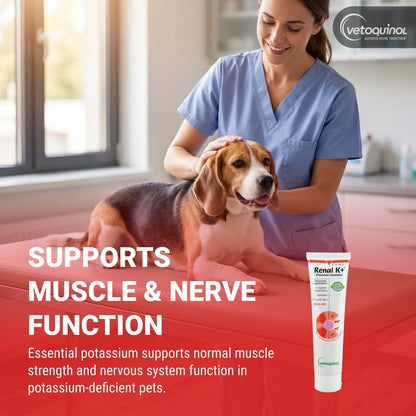 Vetoquinol Renal K - Potassium Supplement for Dogs & Cats - Supports Managing Potassium Levels - Palatable Gel with Maple Flavor - 5Oz3
