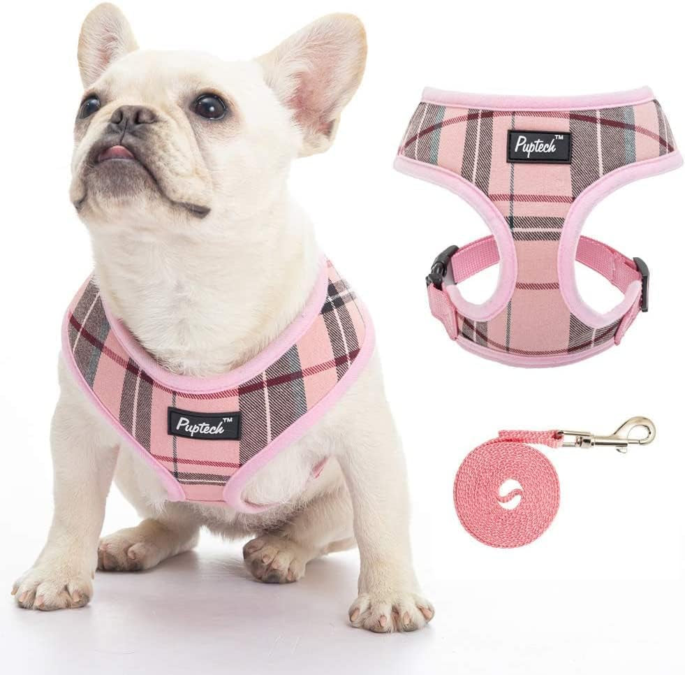 pupteck-soft-mesh-dog-harness-small-sized-and-leash-set-pet-puppy-cat-comfort-padded-vest-no-pull-harnesses-beige-s