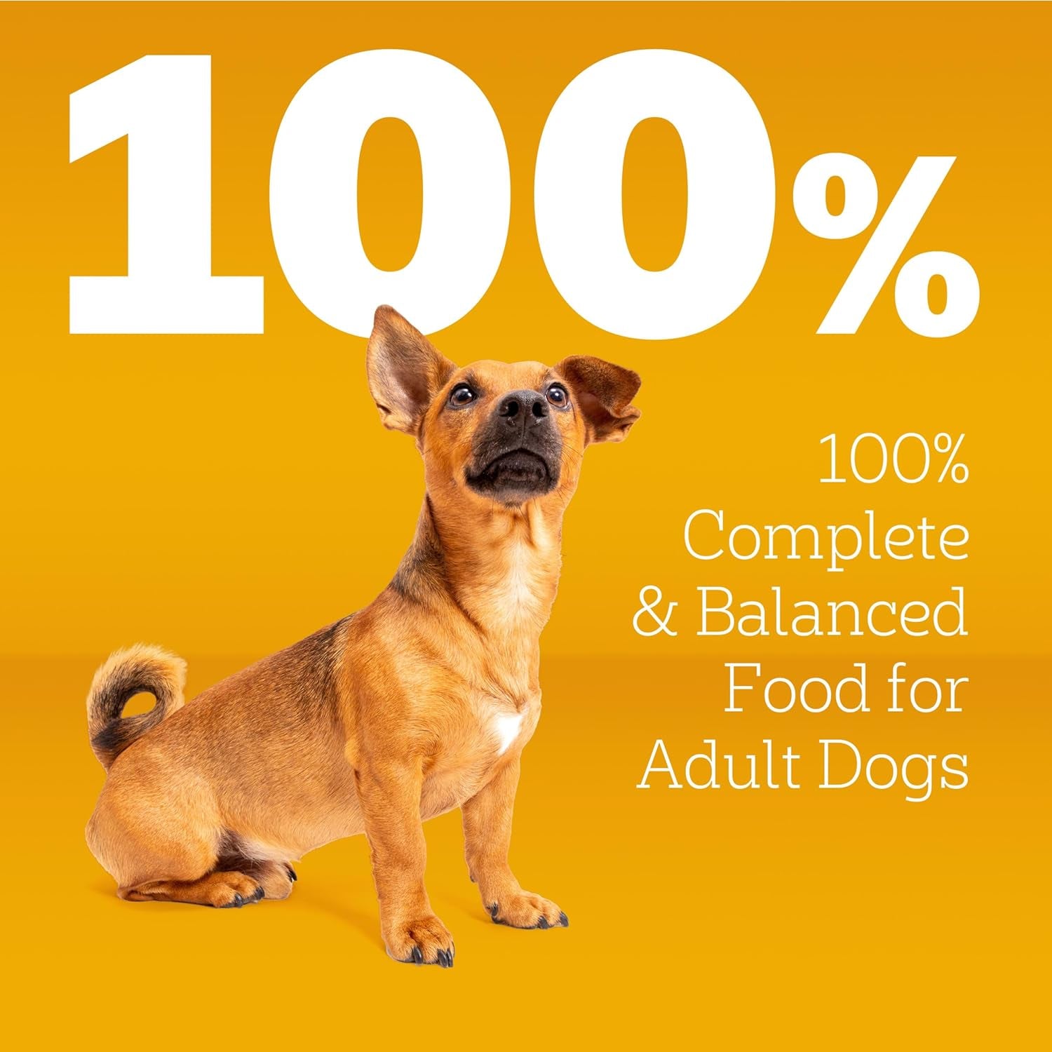pedigree-tender-bites-small-dogs-dry-dog-food-chicken-steak-14-lb-36-vitamins-minerals-amino-acids-quality-protein-for-lean-muscle-natural-fiber-for-digestion-highly-digestible
