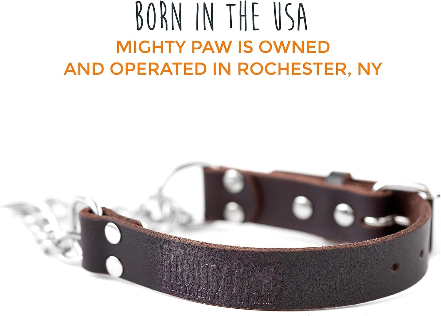 mighty-paw-martingale-dog-collar-no-pull-design-stainless-steel-chain-limited-chain-cinch-training-brown-leather-martingale-training-collar-medium-size