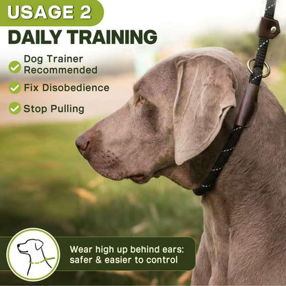 Fida Durable Slip Lead Dog Leash, 6 FT X 1/2" Heavy Duty Dog Loop Leashes, Comfortable Strong Rope Slip Leash for Large Medium Dogs, No Pull Pet Training Lead with Highly Reflective(1/2", Black)5
