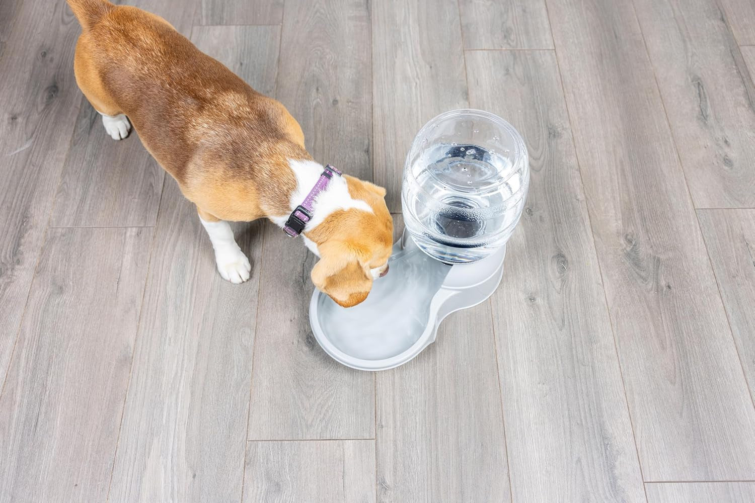 petmate-aspen-pet-lebistro-water-dispenser-for-cats-and-dogs-1-gal-size-gravity-fed-reservoir-reduces-daily-refills-usa-made-wide-basin-suits-multiple-pets-sharing-one-feeding-area-each-day