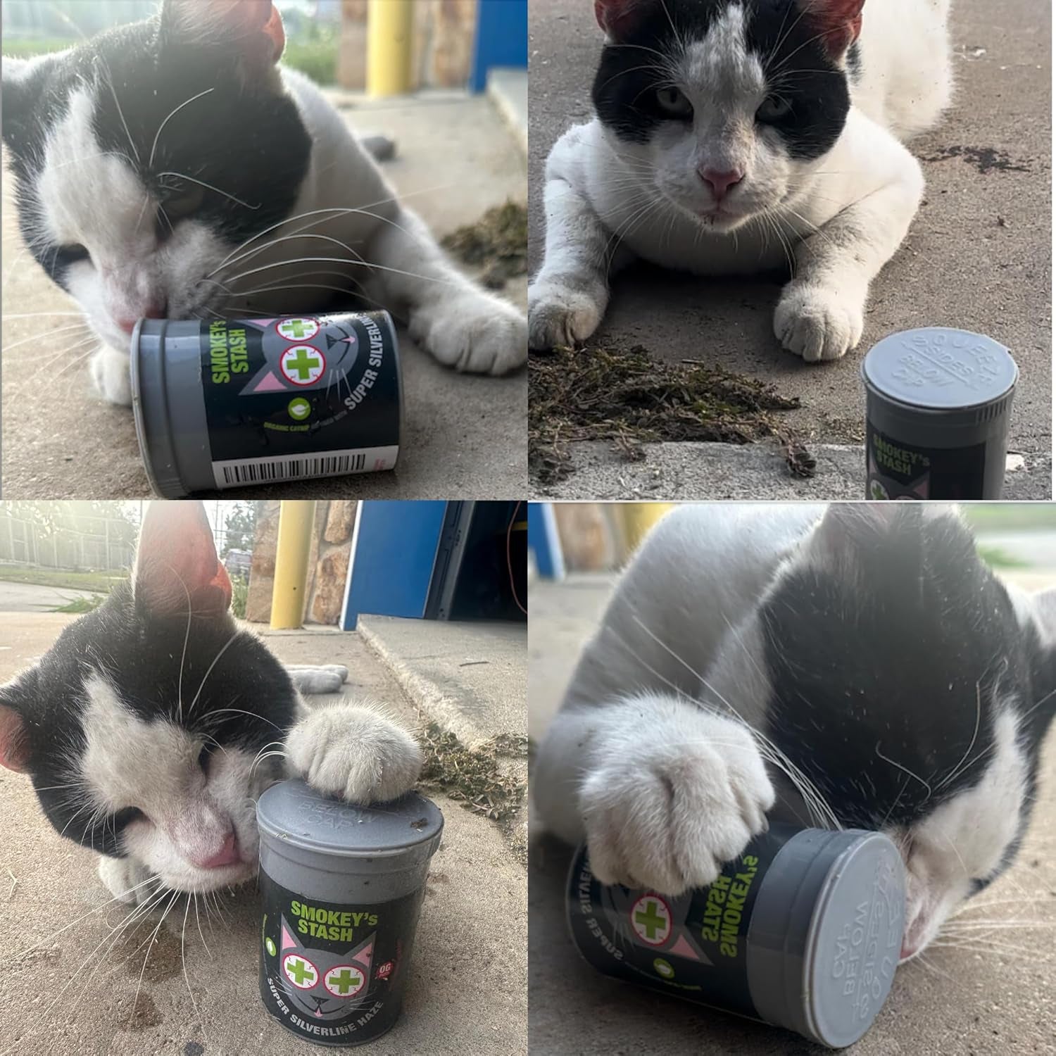 smokeys-stash-silvervine-haze-potent-catnip-and-silver-vine-blend-for-cats