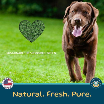 TREATOPIA Beef Lung Nuggies Dog Treats, 1 LB Bag, All-Natural | Healthy, High Protein, Hand-Trimmed, Slow-Roasted, Made in the USA, Nutritious, No Additives, No Fillers, All Life Stages9
