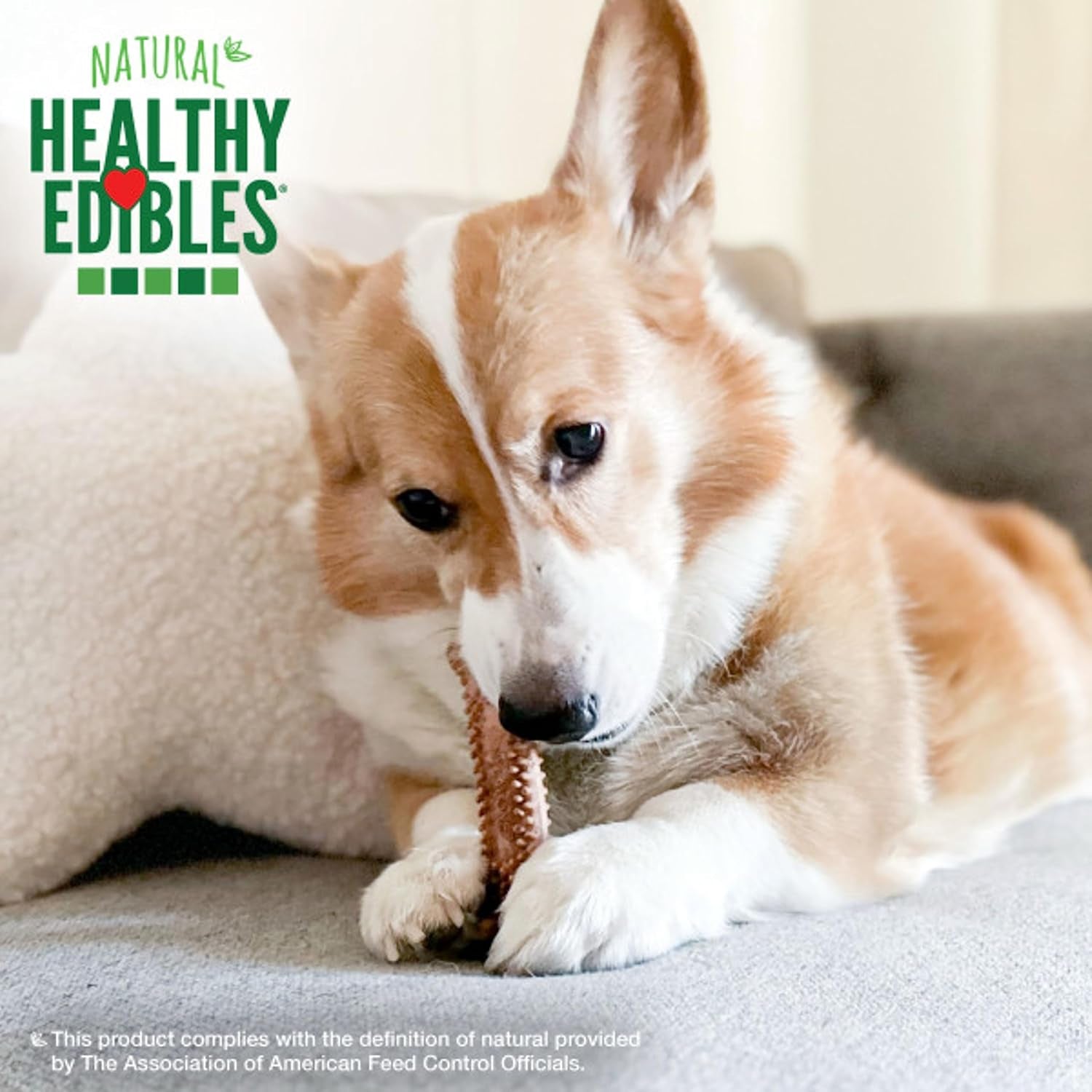 nylabone-healthy-edibles-meaty-center-dog-treats-beef-flavor-12-count-natural-dog-chew-bones-made-in-usa-highly-digestible-help-clean-teeth-long-lasting-chews-for-small-dogs-up-to-25-lbs