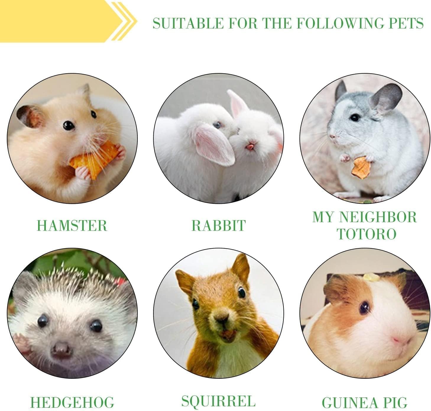 2lb-sweet-bamboo-chew-sticks-for-rabbits-guinea-pigs-natural-molar-teething-treats-60-75-sticks-dental-grinding-toys-for-hamsters-chinchillas-rats-small-animals