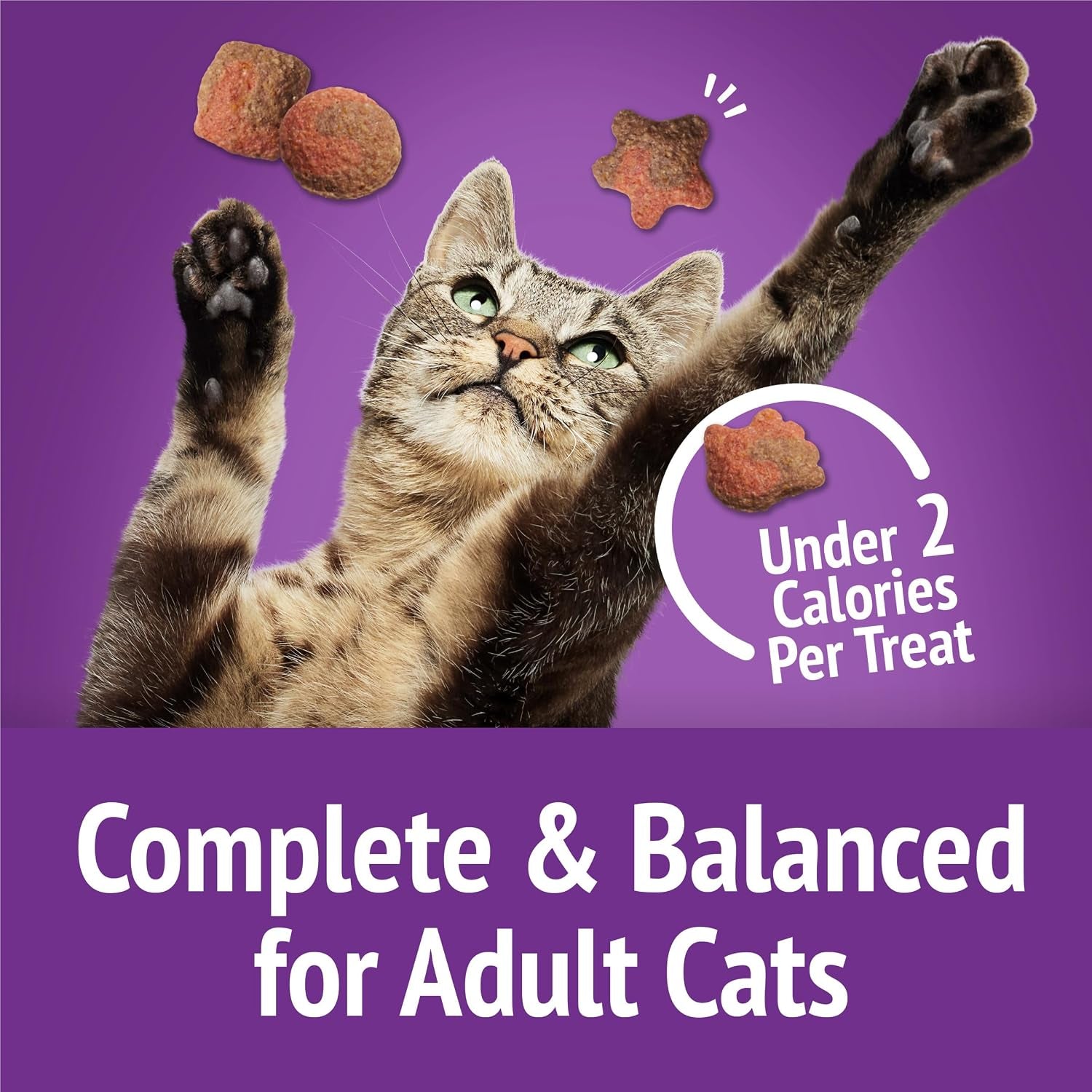 purina-friskies-cat-treats-party-mix-gravy-licious-crunch-turkey-and-gravy-flavors-pack-of-6-6-oz-pouches