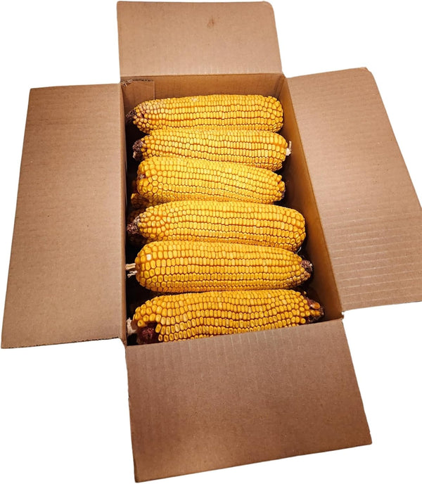 Wildlife Treats,Ear Corn Kernels, Hand Packed Boxes, Squirrel Food, 10 Pound (Pack of 1), Yellow2