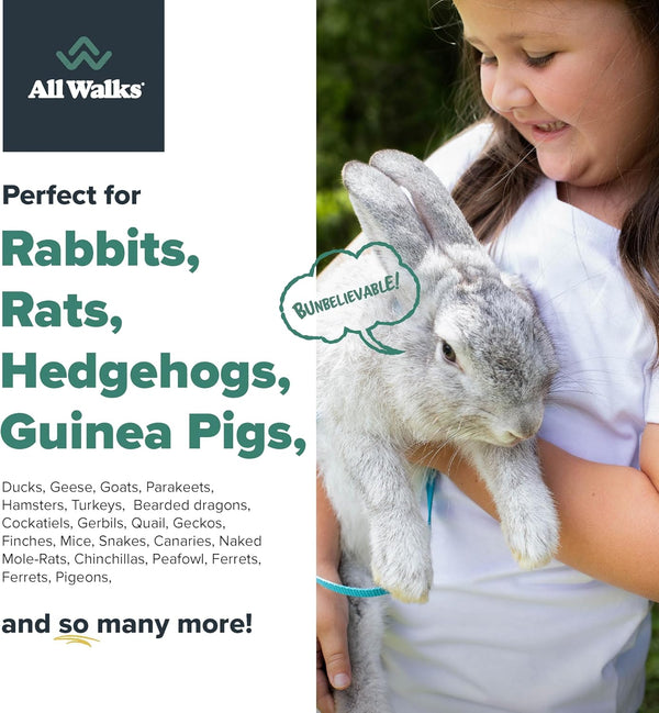 | Hemp Bedding for Small Animals 18.5L (3.7 LBS) | Low Dust, Odor Control, Highly Absorbent, Natural Cage Bedding for Rabbits, Hamsters, Guinea Pigs, Birds, and More6