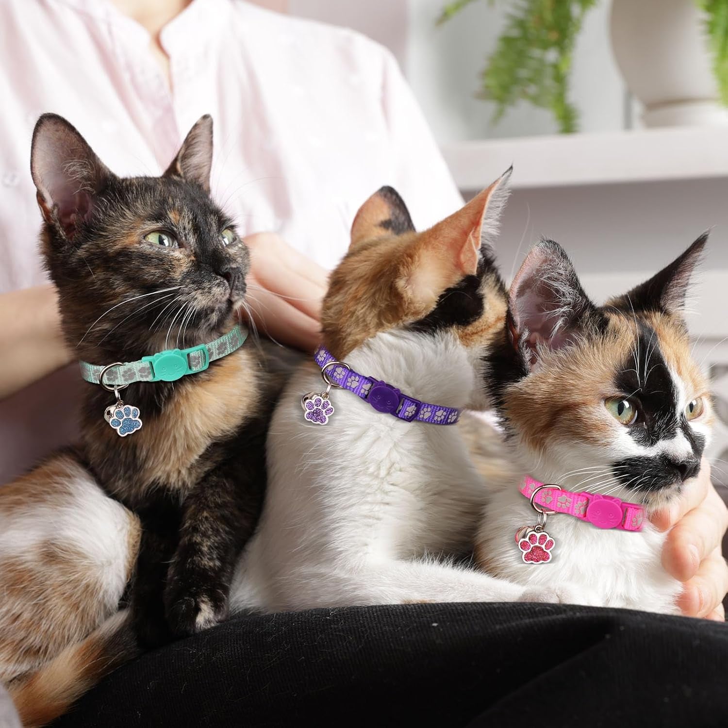 4pcs-breakaway-cat-collars-reflective-cat-collar-with-bells-kitten-collars-for-boy-girl-cats-breakaway-collar-for-cats-with-paw-pendant-6-9-inchpurple-hotpink-red-teal