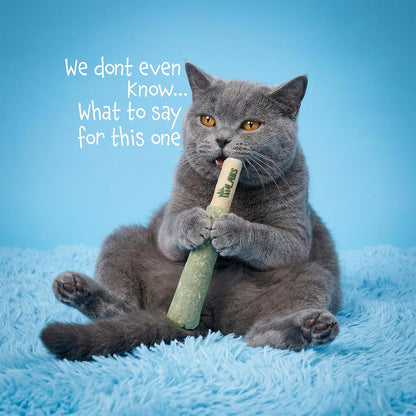 LIT LABS Cat Doobie 3 Pack Catnip Toys for Cats, Funny Cat Toys, Safe Kitten Teething Chew and Kicker Toys, Stress-Relieving Indoor Cat Gifts That Hit Different6