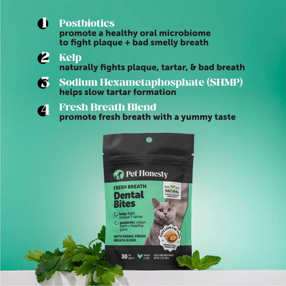 Fresh Breath Dental Bites for Cats – Crunchy & Creamy Cat Dental Treats for Fresh Breath, Tartar & Plaque Control – Dual-Texture Cat Oral Care Bites for Bright Teeth & Healthy Gums – 30 Day Supply3