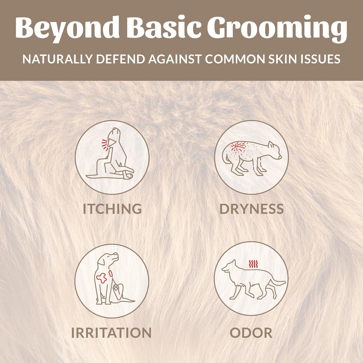 skouts-honor-probiotic-dog-shampoo-and-conditioner-dotw-16-oz-hydrating-natural-2-in-1-for-itchy-skin-microbiome-friendly-with-avocado-oil-omega-3s-paraben-sulfate-free