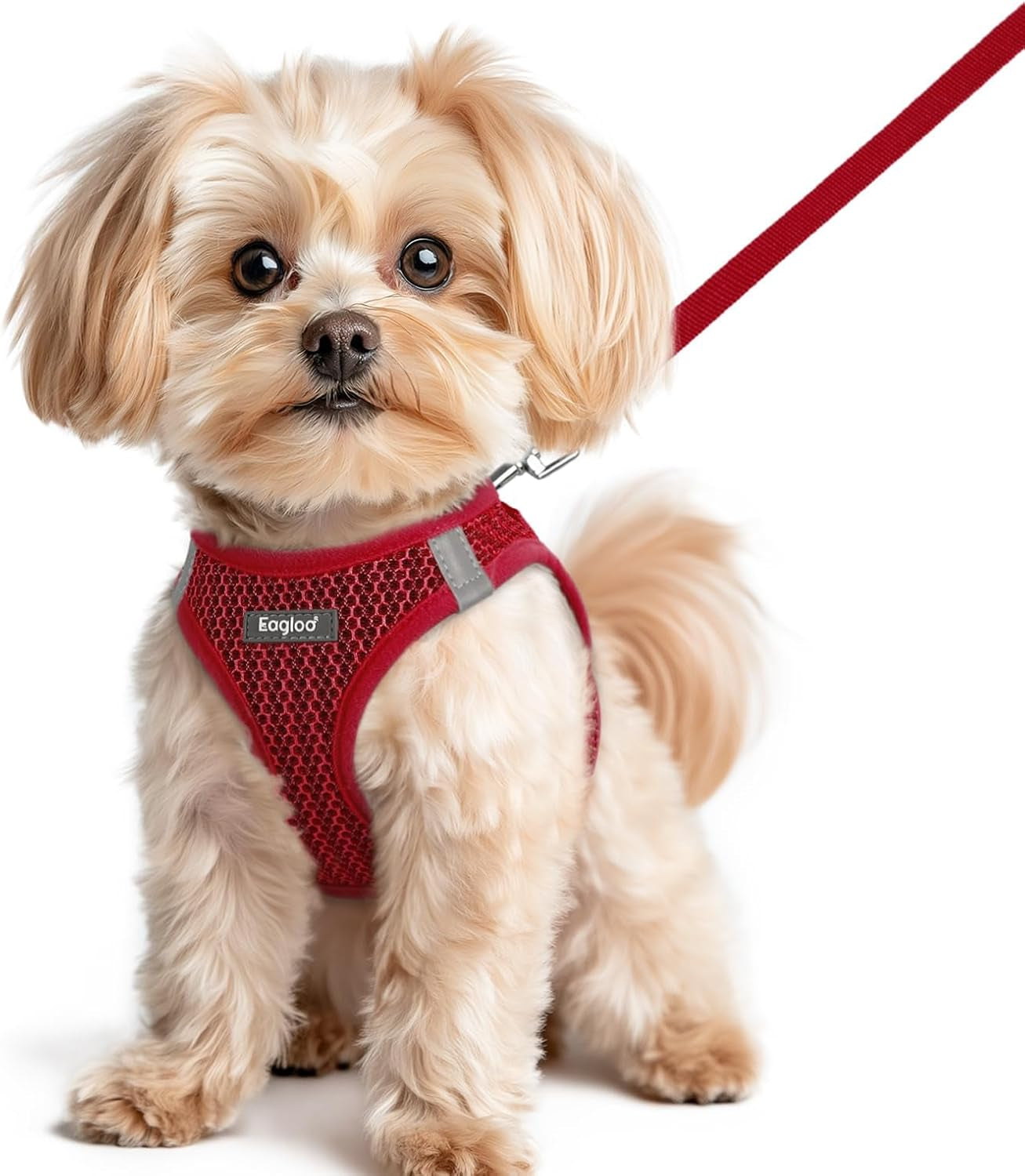 eagloo-small-dog-harness-and-leash-set-step-in-small-sized-puppy-pet-vest-light-soft-breathable-air-mesh-easy-on-and-off-with-hook-loop-reflective-for-safe-walking-pink-s