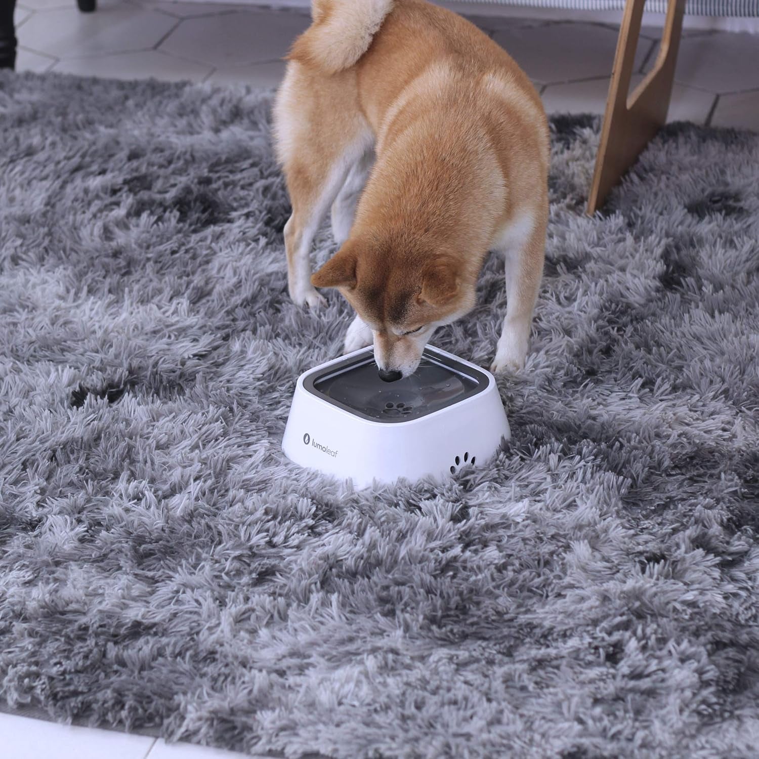 lumoleaf-no-spill-water-bowl-for-dogs-slow-feeder-for-messy-drinkers-drip-free-splash-proof-design-grey-35oz