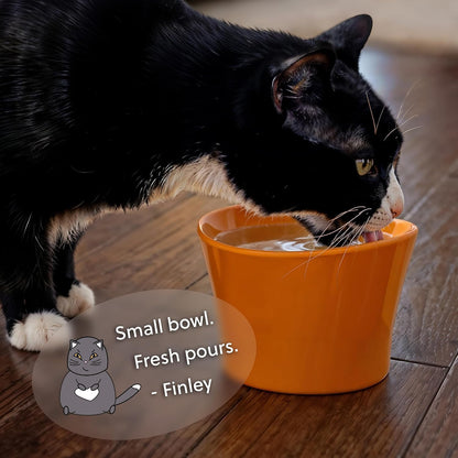 Elevated Cat Bowls for Water – Whisker & Neck Fatigue Shallow Cat Dishes – Raised Bowl for Indoor Cats – Vet-Recommended Height, Modern Pedestal Design – Non-Slip & Dishwasher-Safe – 8 Oz Powder Blue6
