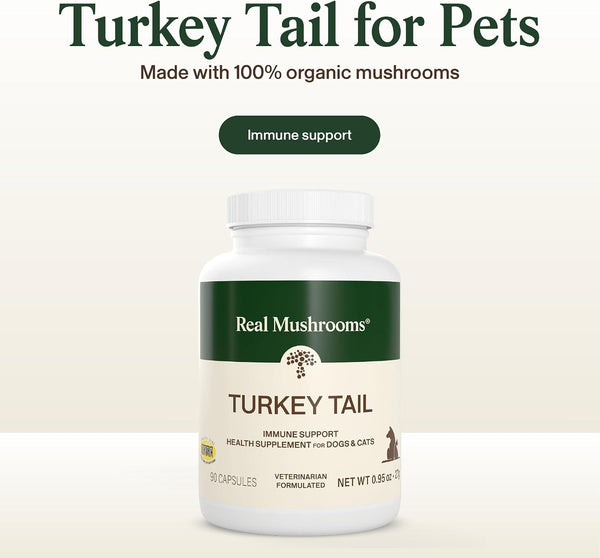 Real Mushrooms Turkey Tail Capsules for Pets –Cat Probiotics & Dog Vitamins – Organic Mushroom Supplement for Dogs & Cats – Supports Daily Balance & Well-Being Non-Gmo, 90 Ct | Daily Balance and Well-Being Support, Organic Turkey Tail Extract, Non-Gmo, Pet Mushroom Supplement, for Dogs and Cats3