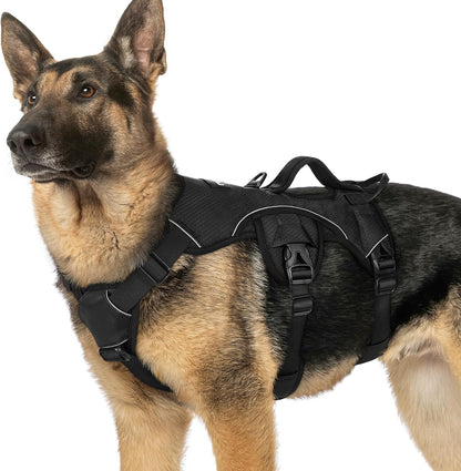 Rabbitgoo Escape Proof Dog Harness for Large, No Pull with Lift Handle | No Escape, Full Soft Padded, Reflective Adjustable Vest, Leash Clip for Walking Hiking Training, Black, Large33
