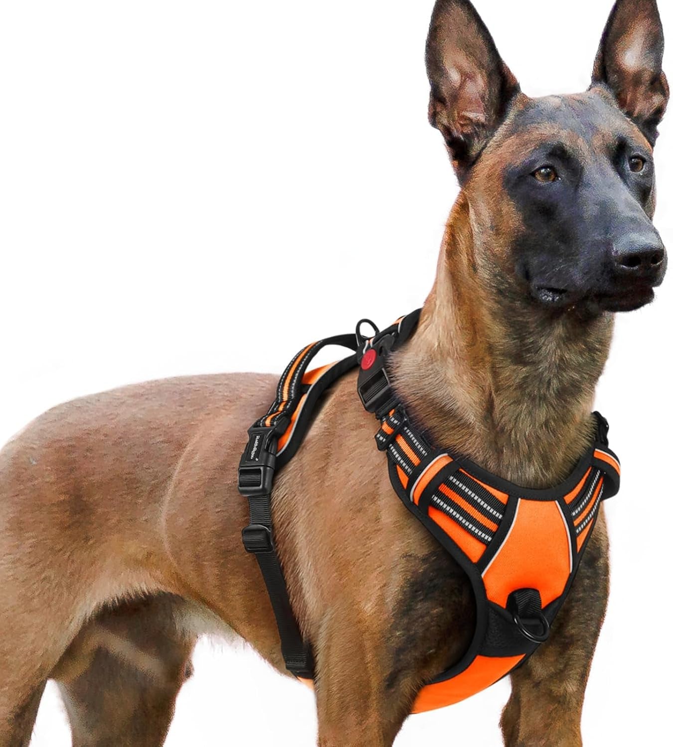 rabbitgoo-dog-harness-medium-sized-updated-easy-on-off-with-3-buckles-no-pull-no-choke-walking-with-2-clips-and-handle-adjustable-soft-reflective-blue-medium