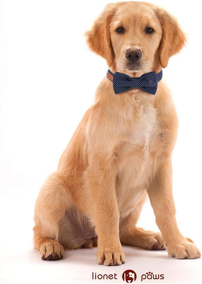 Lionet Paws Boy Dog Collar with Bowtie, Comfortable Adjustable Cute Navy Blue Bow Tie Collar for Male Dogs Gift, Xlarge, Neck 16-26 Inches4