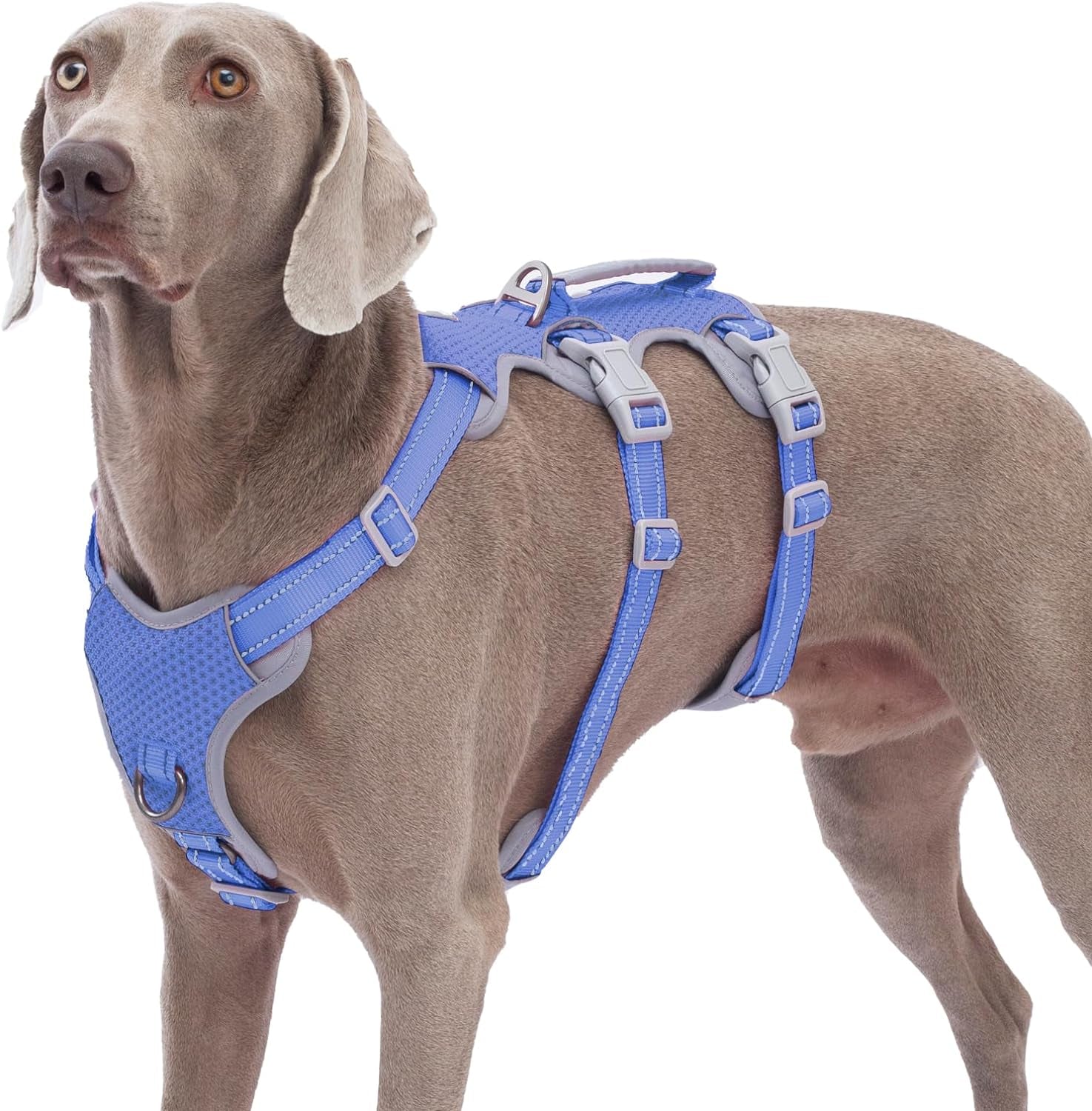 huntboo-escape-proof-harness-no-slip-dog-harness-escape-proof-fully-reflective-harness-with-handle-breathable-durable-adjustable-vest-for-medium-dogs-walking-and-training-gear-black-m