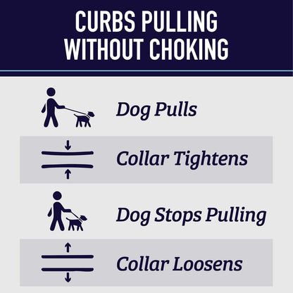 Leash Boss Martingale Collar for Dogs - Steel Chain | Reflective Nylon Dog Collar for Large Dogs, Medium and Small Dogs | No Pull Pet Training Collar Small3