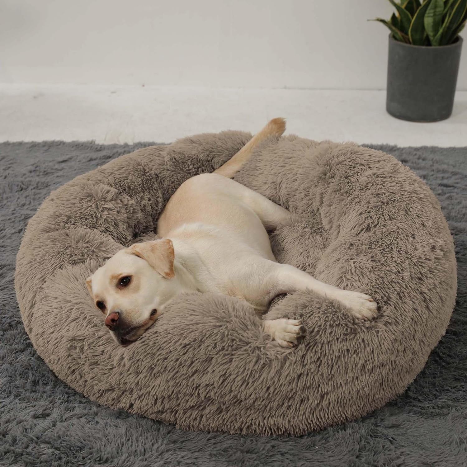 hachikitty-calming-donut-cuddler-dog-bed-round-fluffy-pet-bed-with-sewn-in-cushion-for-large-dogs-washable-large-taupe-30