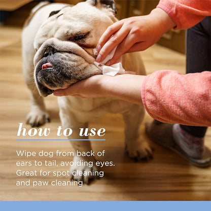 Burts Bees for Pets Gentle Cleansing Puppy Wipes, Buttermilk, 50 Count | Buttermilk Formula, Hypoallergenic, 98% Natural Origin, Gentle Cleansing and Conditioning5
