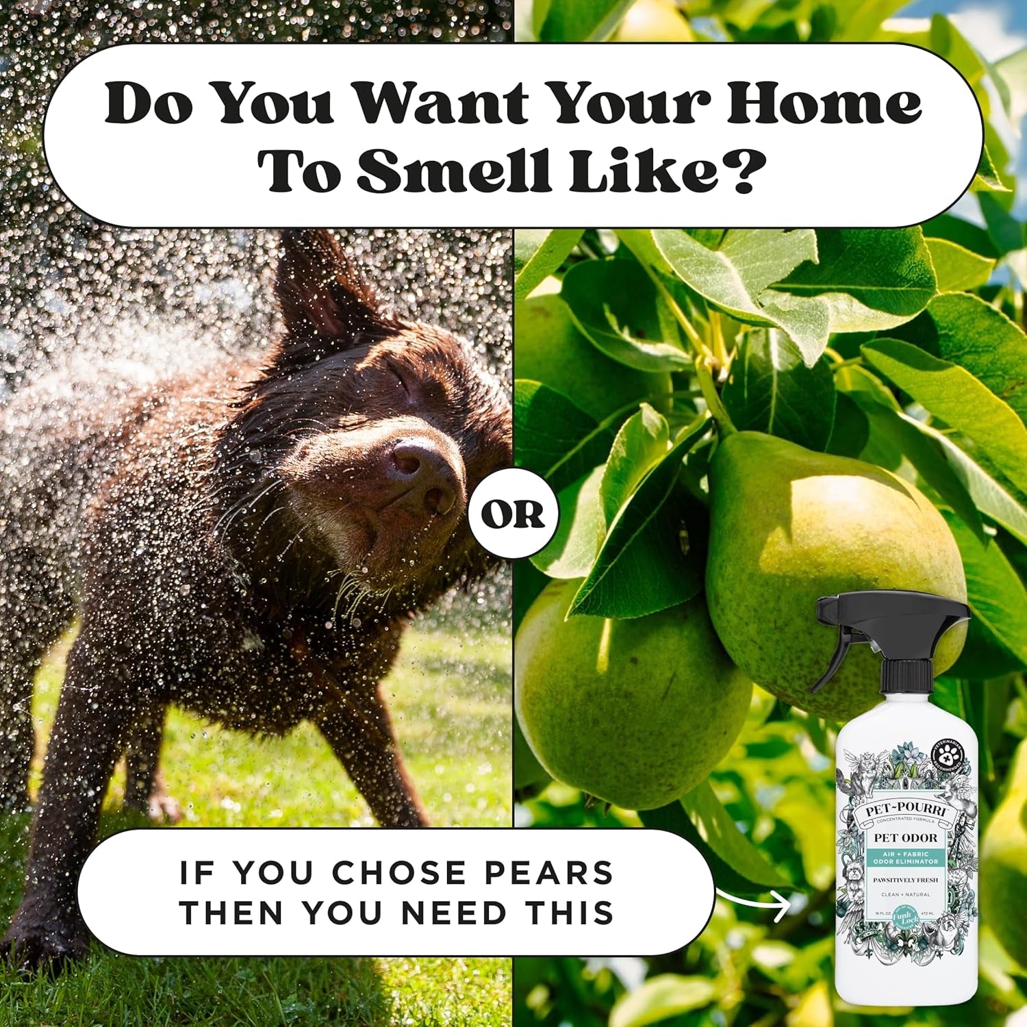 pet-pourri-pawsitively-fresh-pet-odor-deodorizer-spray-16-fl-oz-up-to-800-uses-air-fabric-odor-remover-with-essential-oils-plant-based-ingredients-vet-recommended-pineapple-jasmine-pear