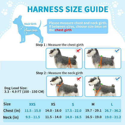 Lukovee No Pull Dog Harness and Leash Set, Soft Padded Small Dog Harness, Neck & Chest Adjustable Reflective Vest Puppy Harness with 4Ft Lightweight Anti-Twist Dog Leash for Small Dogs (XS, Blue)4