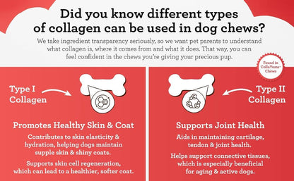 Dreambone Collayums Twists plus Collagen Chews for Dogs, 10 Count, Treat Your Dog to Rawhide-Free Chews Made with Chicken, Vegetables and Peanut Butter5