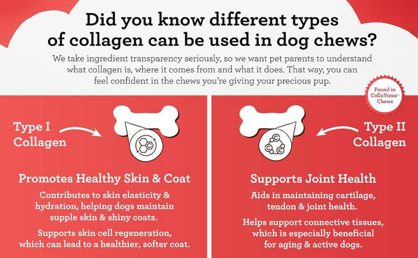 Dreambone Collayums Twists plus Collagen Chews for Dogs, 10 Count, Treat Your Dog to Rawhide-Free Chews Made with Chicken, Vegetables and Peanut Butter5