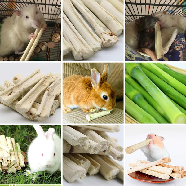 BWOGUE 100G Pet Snacks, Bamboo Chews for Rabbits, Sweet Bamboo Chew Sticks | About10-14 Sticks, 3.94 in Bamboo Sticks for Rabbits, Rabbit Chew Toys, Squirrels, Guinea Pigs, Chinchillas & Hamsters4