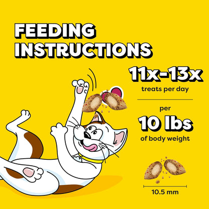 Temptations Wacky Blasts Cat Treats, Cluckin' Bacon Flavor, 16 Oz | Chicken, Bacon & Catnip Flavor Bits, Crunchy Outside, Soft Inside, under 2 Cal, 100% Complete & Balanced, Resealable Tub8