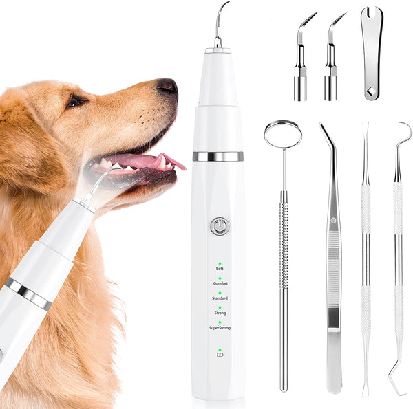 Ni-Shen Plaque Remover for Teeth - Pet Ultrasonic Cleaner - Teeth Cleaning Kit for Tartar and Stains - Suitable for Dogs and Cats (Black)8
