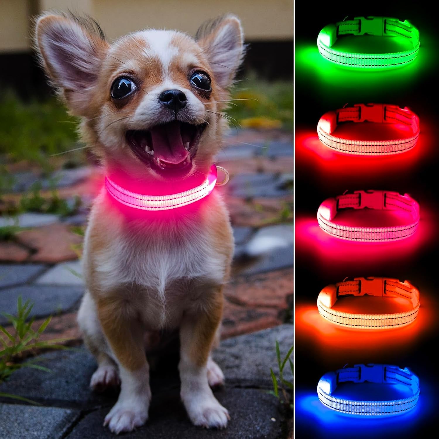 light-up-dog-collar-for-small-dogs-cats-reflective-led-dog-collar-rechargeable-glowing-puppy-collar-safety-dog-lights-for-night-walking-royal-blue