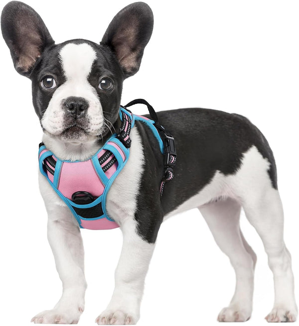 Rabbitgoo Dog Harness, No Pull for Large Dogs with 2 Leash Clips, Pet Vest | No Choke with Handle, Adjustable Soft Padded, Reflective, Easy Control for Walking, Black, Large50