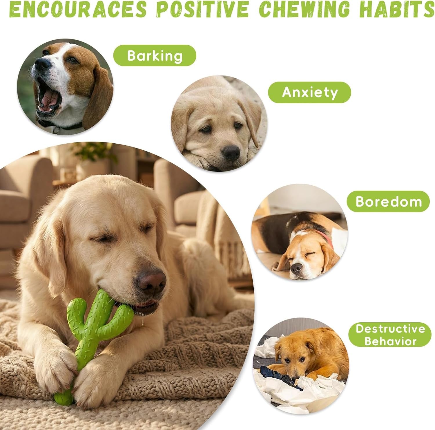 mewajump-dog-chew-toys-durable-rubber-dog-toys-for-aggressive-chewers-cactus-tough-toys-for-training-and-cleaning-teeth-interactive-dog-toys-for-medium-large-dog