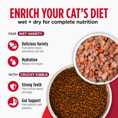 Nulo Freestyle Cat & Kitten Dry Food - Chicken & Cod Recipe, High Protein Grain Free Cat Food, Natural Kibble with Probiotics & Omega Fatty Acids, 4Lb Bag6