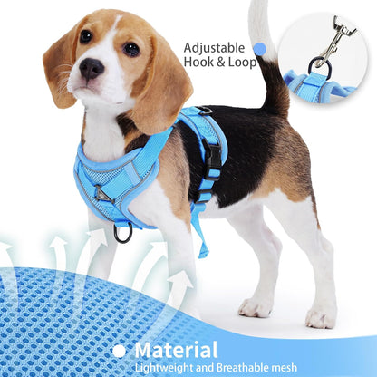 No Pull Dog Harness with Leash Set for Small Sized Dog, Reflective Adjustable No Choke Front Clip Cat Vest Harness with Breathable Mesh, Comfortable Soft Padded Pet Vest, Blue M4