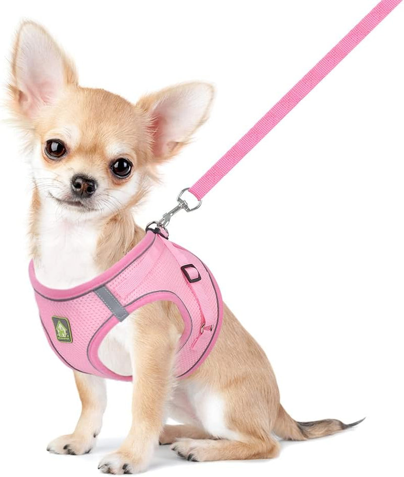feimax-dog-harness-and-leash-set-no-pull-breathable-soft-mesh-puppy-vest-harness-reflective-adjustable-pet-harnesses-for-small-medium-dogs-and-cats-outdoor-easy-control-for-walking