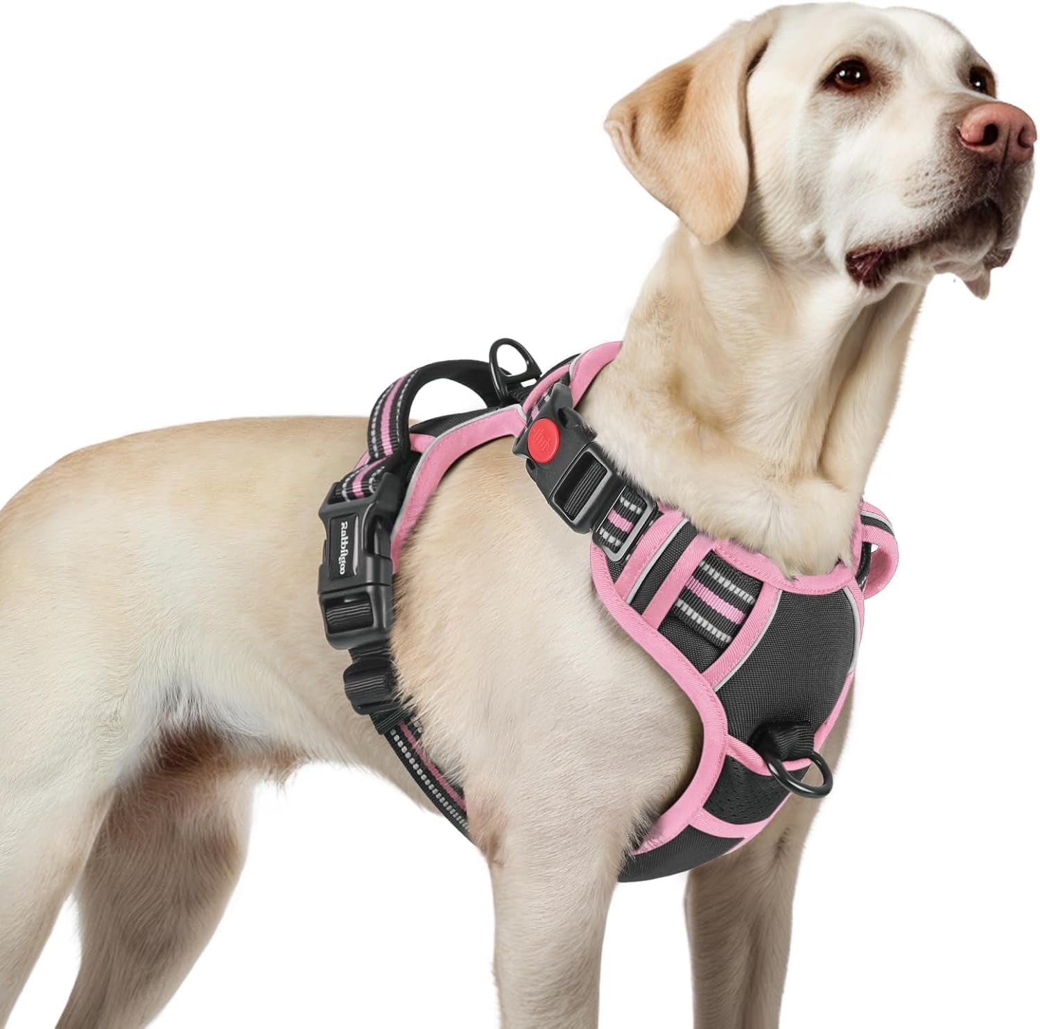 rabbitgoo-dog-harness-medium-sized-updated-easy-on-off-with-3-buckles-no-pull-no-choke-walking-with-2-clips-and-handle-adjustable-soft-reflective-blue-medium