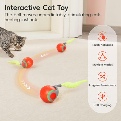 Potaroma Moving Ball Cat Toys with Feather Tail, Rechargeable | 2026 New Interactive Toy for Indoor Cats Exercise, Smart Interactive Kitten Rolling Ball, Orange2